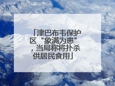 津巴布韦保护区“象满为患”，当局称将扑杀供居民食用