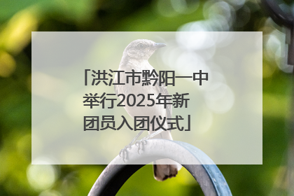 洪江市黔阳一中举行2025年新团员入团仪式