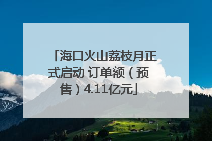海口火山荔枝月正式启动 订单额（预售）4.11亿元