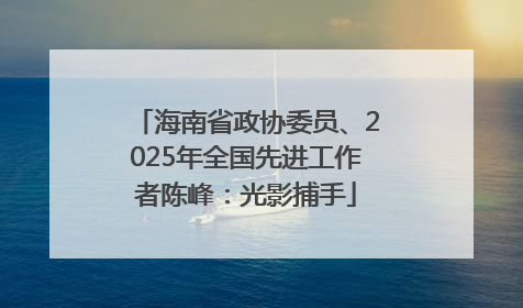 海南省政协委员、2025年全国先进工作者陈峰：光影捕手