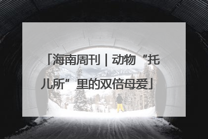 海南周刊｜动物“托儿所”里的双倍母爱
