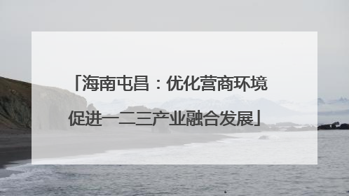 海南屯昌：优化营商环境 促进一二三产业融合发展