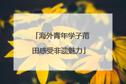 海外青年学子莆田感受非遗魅力