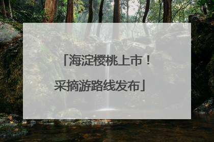 海淀樱桃上市！采摘游路线发布