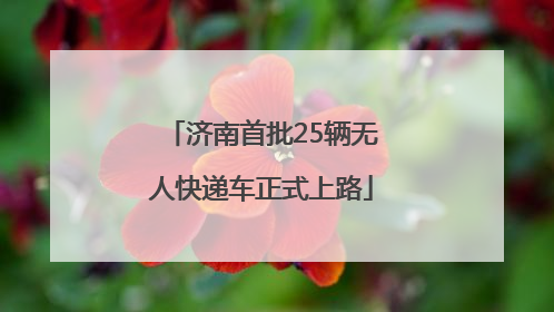 济南首批25辆无人快递车正式上路