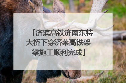 济滨高铁济南东特大桥下穿济莱高铁架梁施工顺利完成