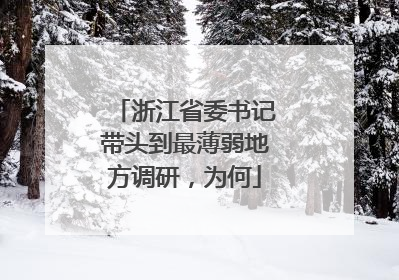 浙江省委书记带头到最薄弱地方调研，为何