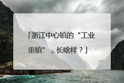 浙江中心镇的“工业重镇”，长啥样？