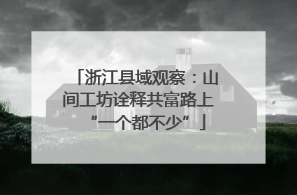 浙江县域观察：山间工坊诠释共富路上“一个都不少”