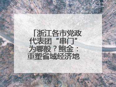 浙江各市党政代表团“串门”为哪般？鲍金：重塑省域经济地理的破题之道