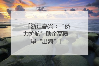 浙江嘉兴：“侨力护航”助企高质量“出海”