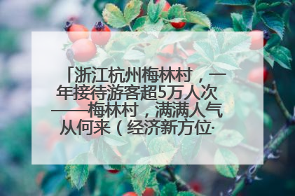 浙江杭州梅林村，一年接待游客超5万人次——梅林村，满满人气从何来（经济新方位·农村消费观察）