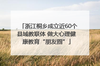 浙江桐乡成立近60个县域教联体 做大心理健康教育“朋友圈”