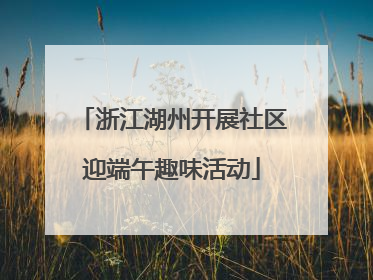 浙江湖州开展社区迎端午趣味活动