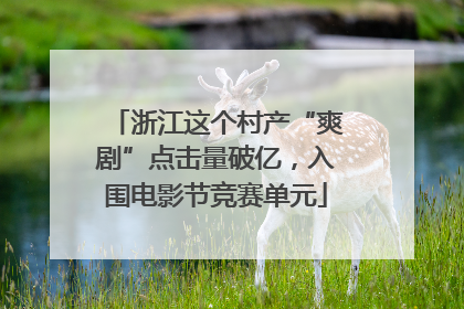 浙江这个村产“爽剧”点击量破亿，入围电影节竞赛单元