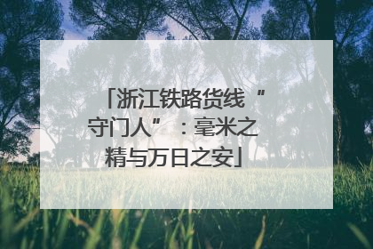 浙江铁路货线“守门人”：毫米之精与万日之安