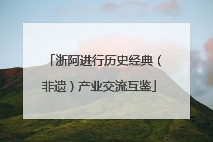 浙阿进行历史经典（非遗）产业交流互鉴