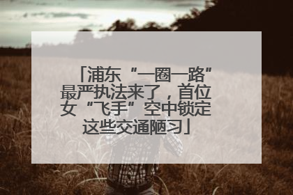 浦东“一圈一路”最严执法来了，首位女“飞手”空中锁定这些交通陋习