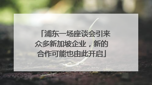 浦东一场座谈会引来众多新加坡企业，新的合作可能也由此开启
