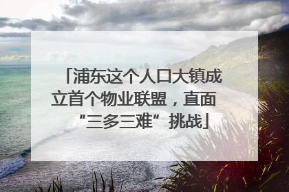 浦东这个人口大镇成立首个物业联盟，直面“三多三难”挑战
