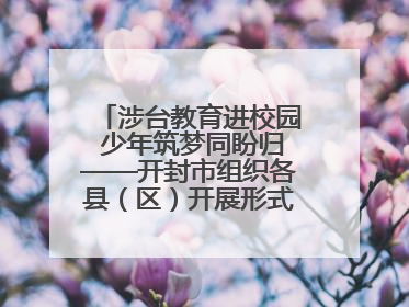 涉台教育进校园 少年筑梦同盼归——开封市组织各县（区）开展形式多样的涉台宣传教育进校园活动