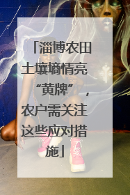 淄博农田土壤墒情亮“黄牌”，农户需关注这些应对措施