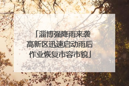 淄博强降雨来袭 高新区迅速启动雨后作业恢复市容市貌