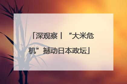 深观察丨“大米危机”撼动日本政坛