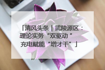 清风头条｜武陵源区：理论实务“双驱动 ” 充电赋能“增才干”