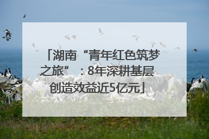 湖南“青年红色筑梦之旅”：8年深耕基层创造效益近5亿元