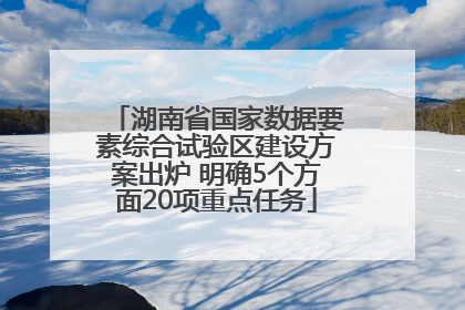 湖南省国家数据要素综合试验区建设方案出炉 明确5个方面20项重点任务