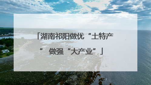 湖南祁阳做优“土特产” 做强“大产业”