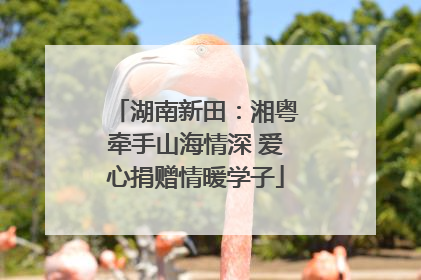 湖南新田：湘粤牵手山海情深 爱心捐赠情暖学子