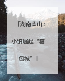 湖南蓝山：小镇崛起“箱包城”