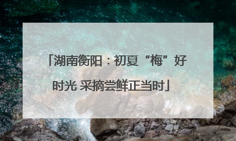 湖南衡阳：初夏“梅”好时光 采摘尝鲜正当时