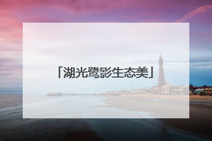 湖光鹭影生态美