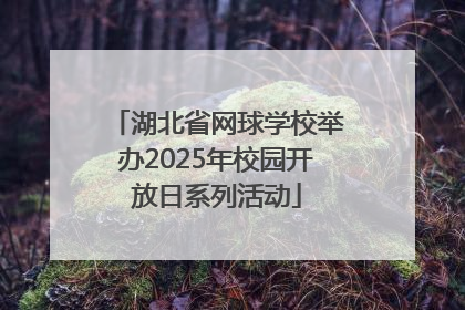 湖北省网球学校举办2025年校园开放日系列活动