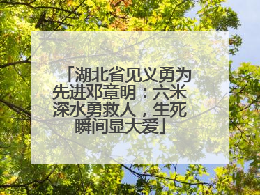 湖北省见义勇为先进邓章明：六米深水勇救人，生死瞬间显大爱