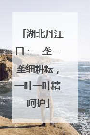 湖北丹江口：一垄一垄细耕耘，一叶一叶精呵护