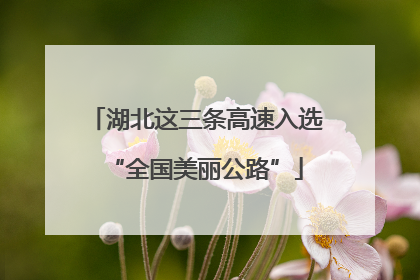 湖北这三条高速入选“全国美丽公路”