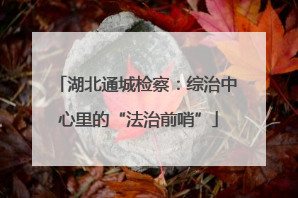 湖北通城检察：综治中心里的“法治前哨”