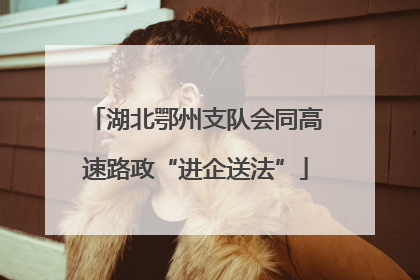 湖北鄂州支队会同高速路政“进企送法”