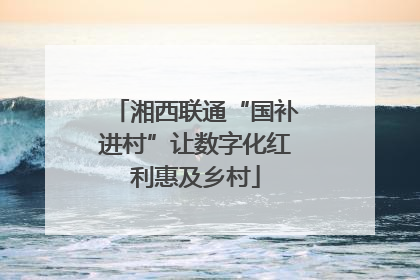 湘西联通“国补进村”让数字化红利惠及乡村
