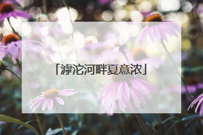 滹沱河畔夏意浓