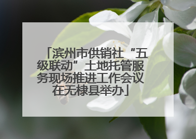 滨州市供销社“五级联动”土地托管服务现场推进工作会议在无棣县举办