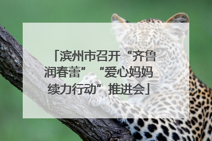 滨州市召开“齐鲁润春蕾”“爱心妈妈续力行动”推进会