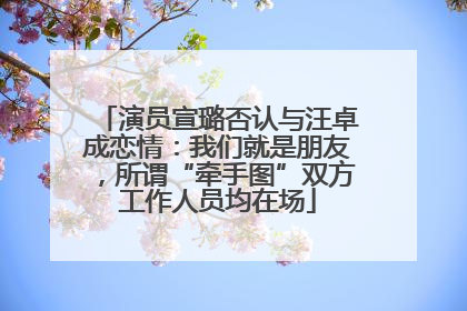 演员宣璐否认与汪卓成恋情：我们就是朋友，所谓“牵手图”双方工作人员均在场