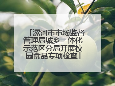 漯河市市场监督管理局城乡一体化示范区分局开展校园食品专项检查
