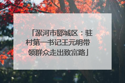 漯河市郾城区：驻村第一书记王元明带领群众走出致富路