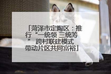 菏泽市定陶区：推行“一统领 三统筹” 跨村联建模式 带动片区共同富裕